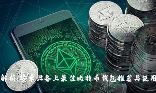 全面解析：安卓设备上最佳比特币钱包推荐与使用指南