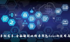 从新手到高手：全面解析