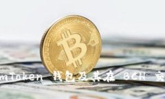 深入解析：imToken 钱包及其