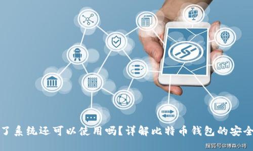 比特币钱包换了系统还可以使用吗？详解比特币钱包的安全性与迁移策略