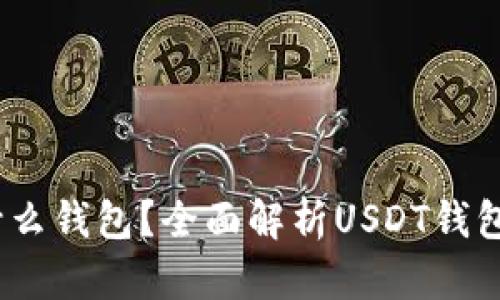 USDT交易用什么钱包？全面解析USDT钱包的选择与使用