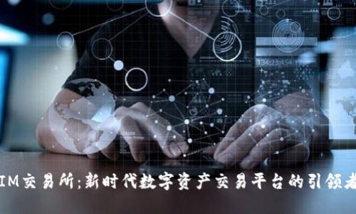 IM交易所：新时代数字资产交易平台的引领者