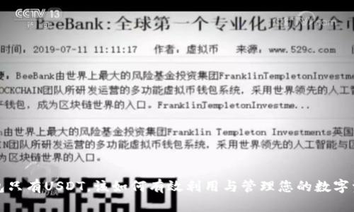  钱包只有USDT，该如何有效利用与管理您的数字资产？