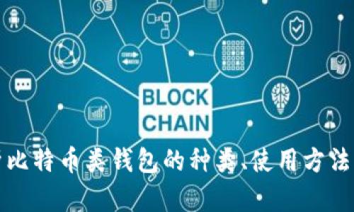 深入探析比特币类钱包的种类、使用方法与安全性