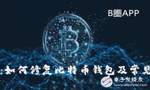 全面指南：如何修复比特币钱包及常见问题解析