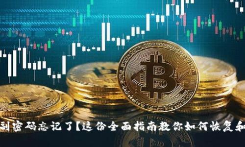 : 比特币钱包副密码忘记了？这份全面指南教你如何恢复和保护你的资产