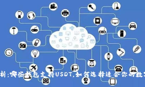 全面解析：哪些钱包支持USDT，如何选择适合你的数字钱包？