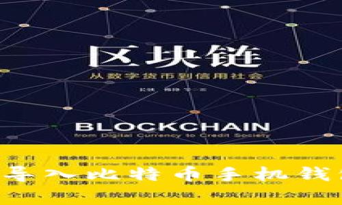 如何安全地将私钥导入比特币手机钱包：步骤与注意事项