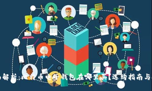 全面解析：比特币电子钱包在哪里买？选购指南与推荐