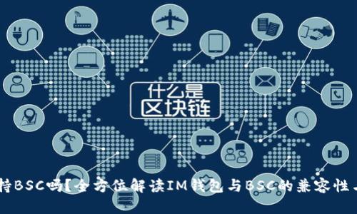 IM钱包支持BSC吗？全方位解读IM钱包与BSC的兼容性与使用指南