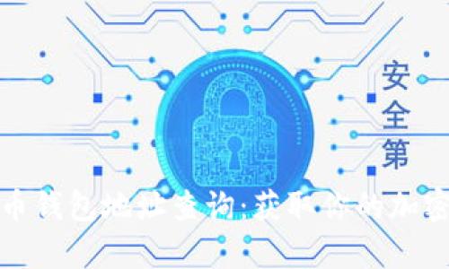 全面解析虚拟币钱包地址查询：获取你的加密资产的第一步
