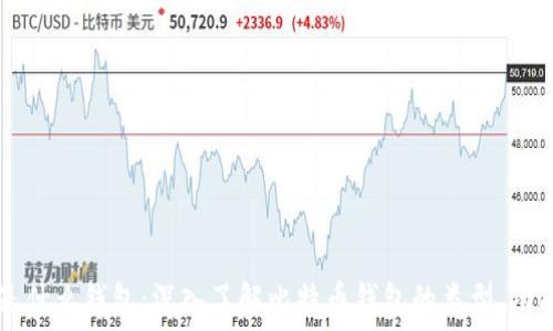  
11年比特币是什么钱包：深入了解比特币钱包的类型、功能及潜在风险