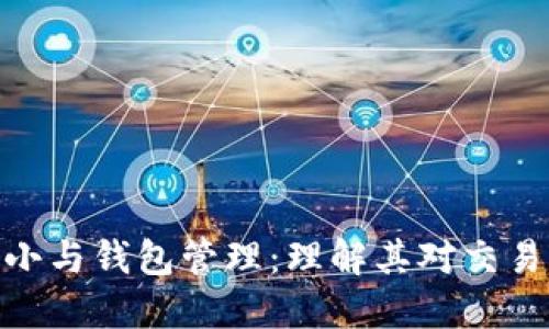探索比特币区块大小与钱包管理：理解其对交易成本与速度的影响