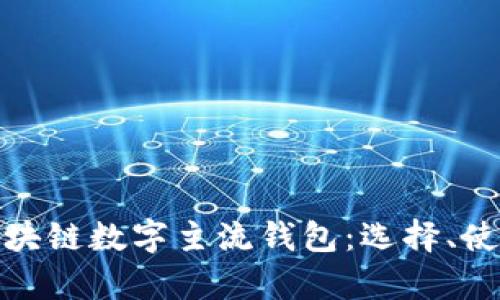 全面解析区块链数字主流钱包：选择、使用及安全性