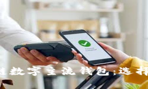 全面解析区块链数字主流钱包：选择、使用及安全性