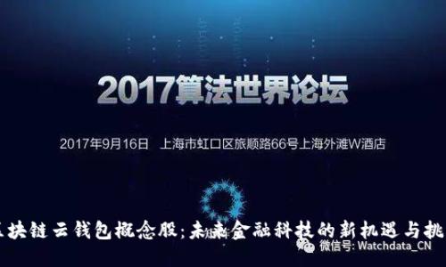 区块链云钱包概念股：未来金融科技的新机遇与挑战