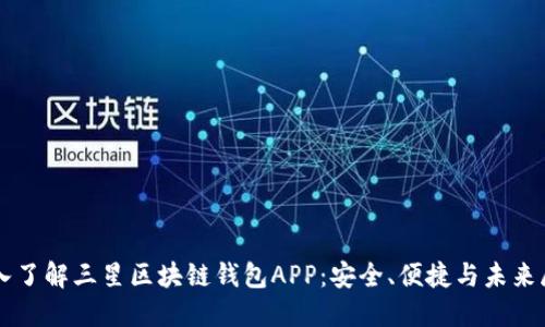 深入了解三星区块链钱包APP：安全、便捷与未来展望