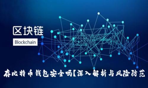 存比特币钱包安全吗？深入解析与风险防范