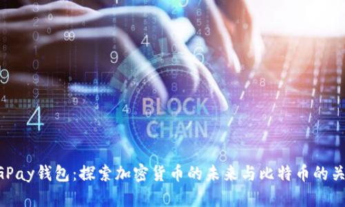 CGPay钱包：探索加密货币的未来与比特币的关系
