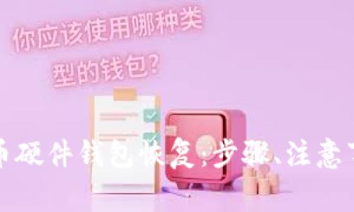 全面解析比特币硬件钱包恢复：步骤、注意事项与风险评估