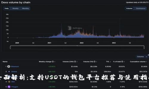 全面解析：支持USDT的钱包平台推荐与使用指南