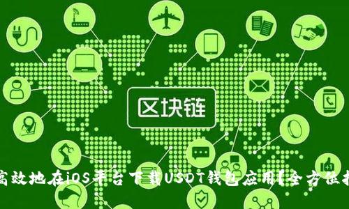如何安全、高效地在iOS平台下载USDT钱包应用？全方位指南与推荐。