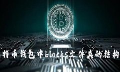详解比特币钱包中blocks文