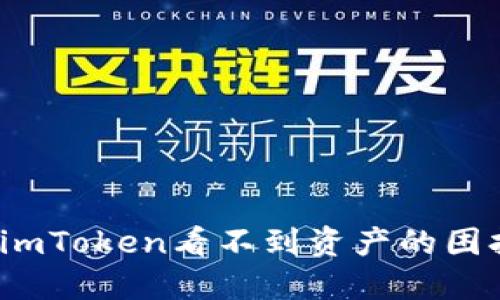深入探索：解决imToken看不到资产的困扰及其背后原因