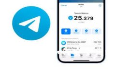 全面解析比特币钱包交易