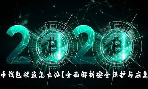 比特币钱包被盗怎么办？全面解析安全保护与应急措施
