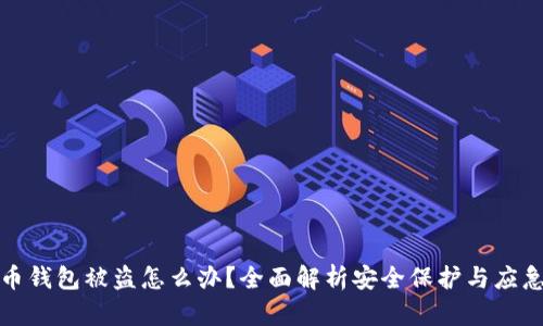 比特币钱包被盗怎么办？全面解析安全保护与应急措施