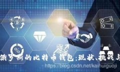 深入了解俄罗斯的比特币钱包：现状、挑战与未