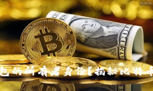 如何查找比特币钱包的所有者身份？揭秘比特币匿名性与追踪技术