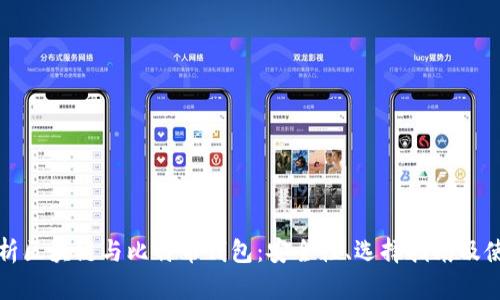 全面解析区块链与比特币钱包：安全性、选择指南及使用技巧