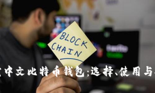 全面探究中文比特币钱包：选择、使用与安全指南