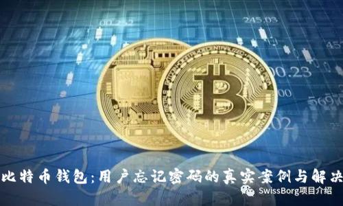 揭秘比特币钱包：用户忘记密码的真实案例与解决方案