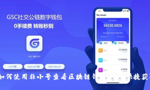 全面解析：如何使用非小号查看区块链钱包，安全快捷获取资产信息