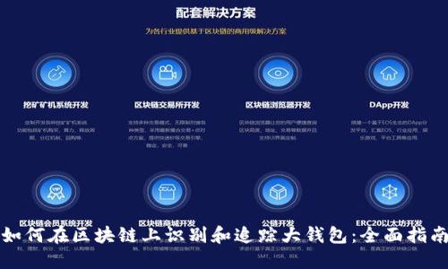 如何在区块链上识别和追踪大钱包：全面指南