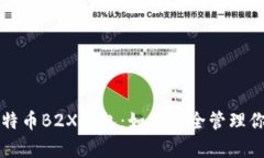 全面解析比特币B2X钱包：