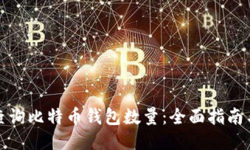 如何查询比特币钱包数量：全面指南与技巧