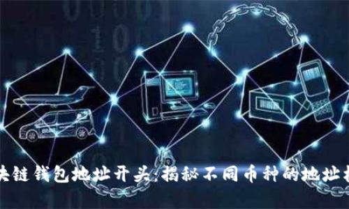 深入解析区块链钱包地址开头：揭秘不同币种的地址格式与安全性