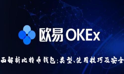 全面解析比特币钱包：类型、使用技巧及安全性