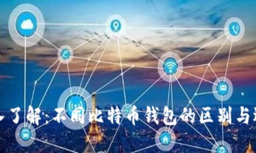 深入了解：不同比特币钱包的区别与选择