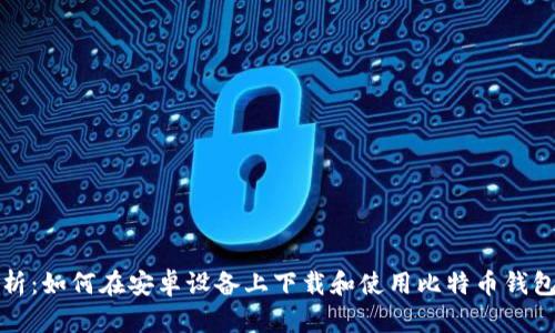全面解析：如何在安卓设备上下载和使用比特币钱包客户端
