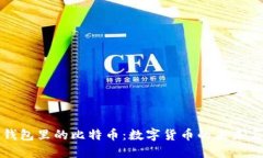 美国钱包里的比特币：数