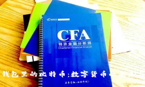 美国钱包里的比特币：数字货币的未来与机遇