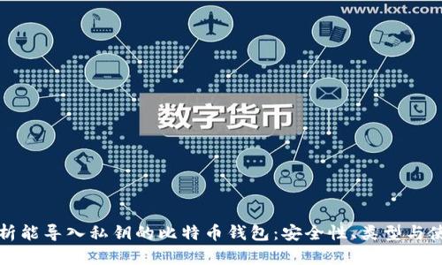 全面解析能导入私钥的比特币钱包：安全性、类型与使用指南