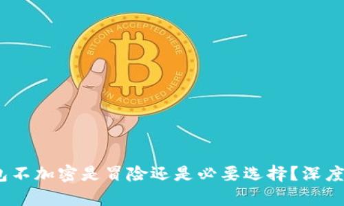 题目：比特币钱包不加密是冒险还是必要选择？深度解析及投资策略