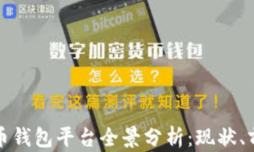 
国内虚拟币钱包平台全景分析：现状、前景与选择