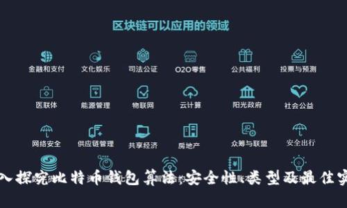 深入探究比特币钱包算法：安全性、类型及最佳实践